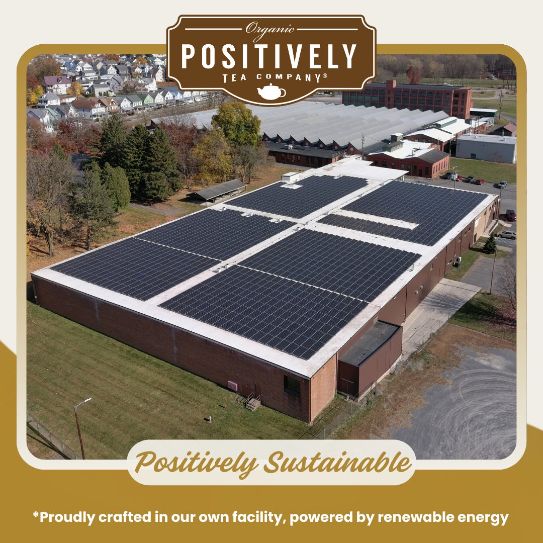 Organic Peach Oolong - Tea Bags