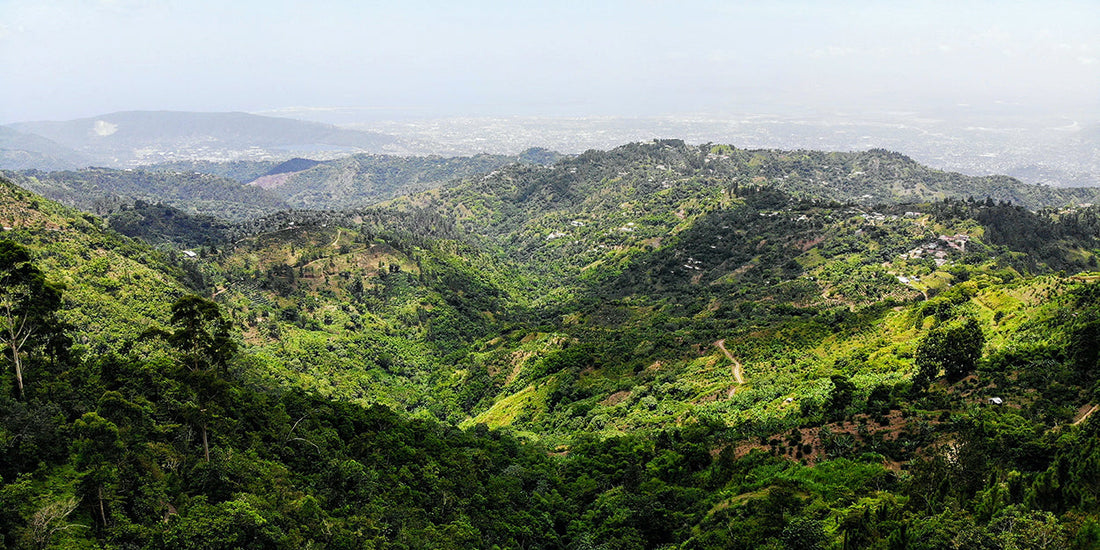Islands of the Americas - Jamaica