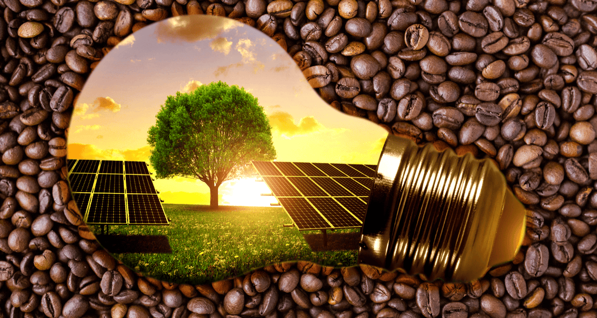 Lightbulb laying in coffee beans - with scene of solar panels, tree and sunrise inside