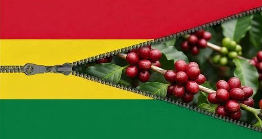 Bolivian flag unzipping to reveal coffee cherries
