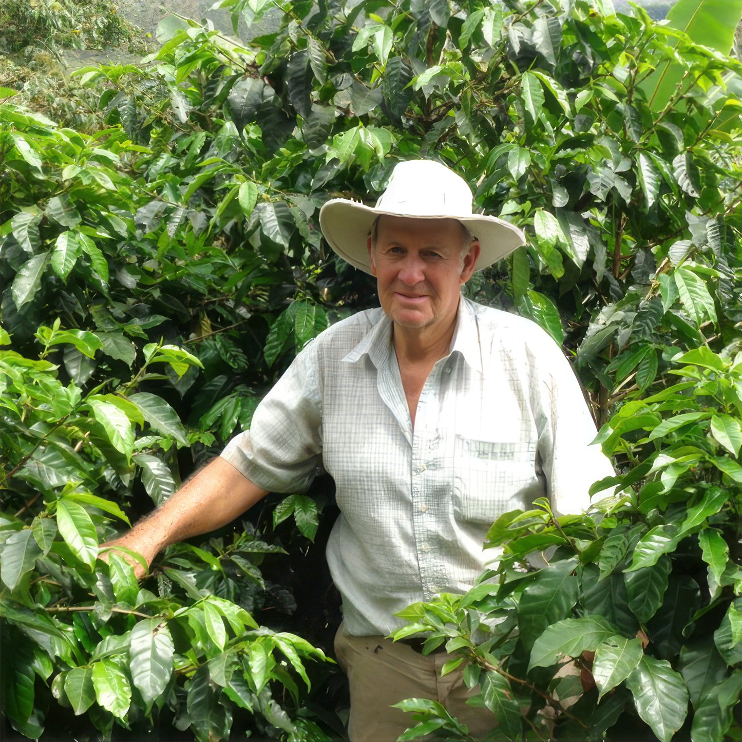 Roaster's Choice Coffee Subscription