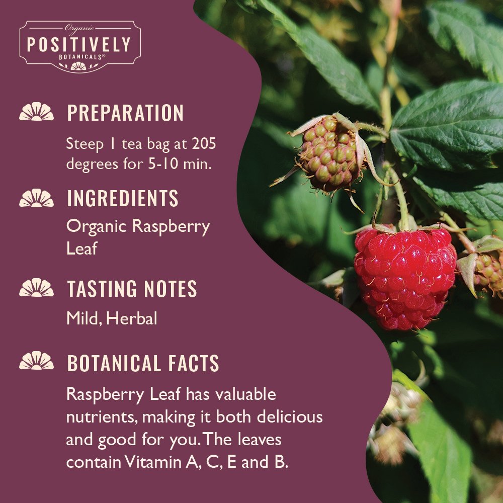 Organic Raspberry Leaf - Botanical Tea Bags