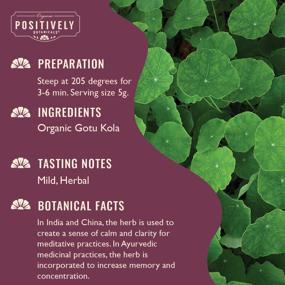 Organic Gotu Kola - Loose Leaf Botanical