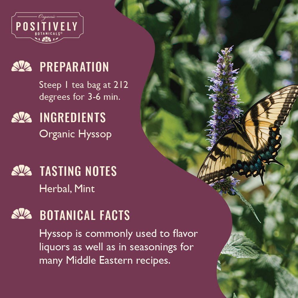 Organic Hyssop - Botanical Tea Bags