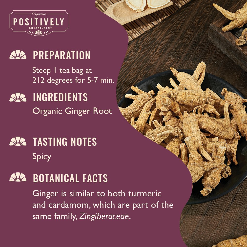 Organic Ginger Root - Botanical Tea Bags