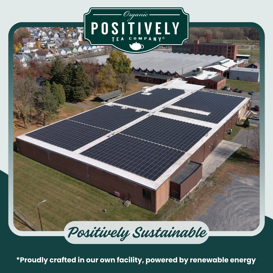 Organic Spearmint Leaf Herbal - Tea Bags