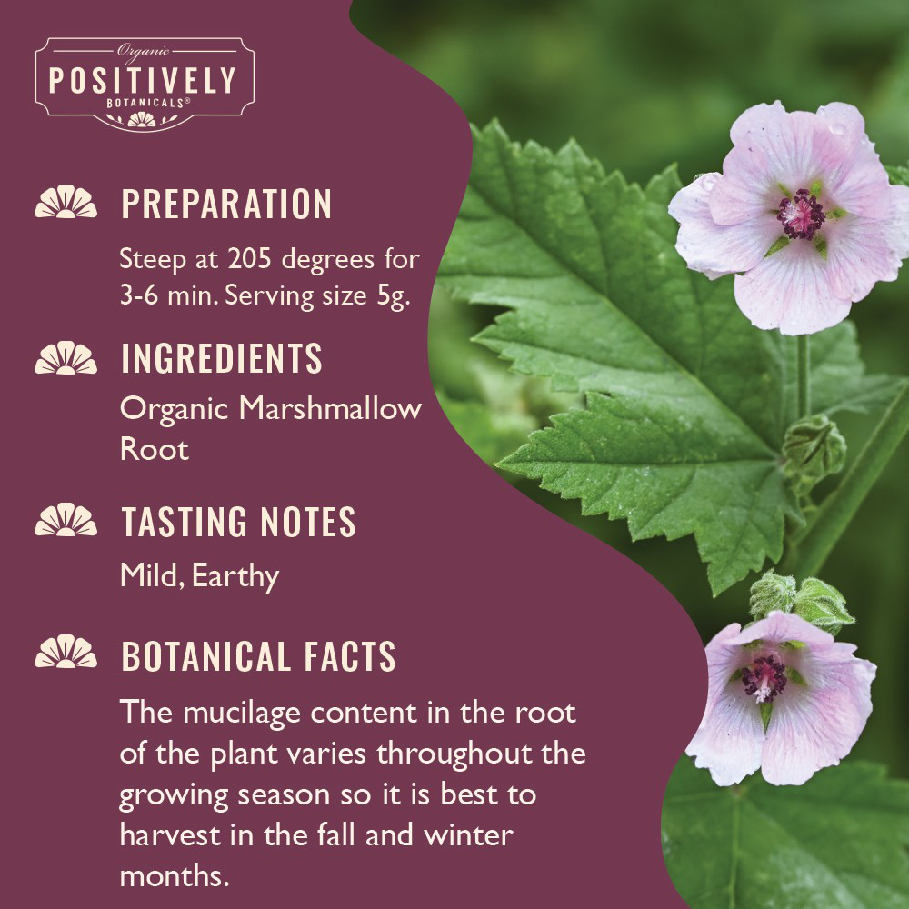 Organic Marshmallow Root - Loose Leaf Botanical