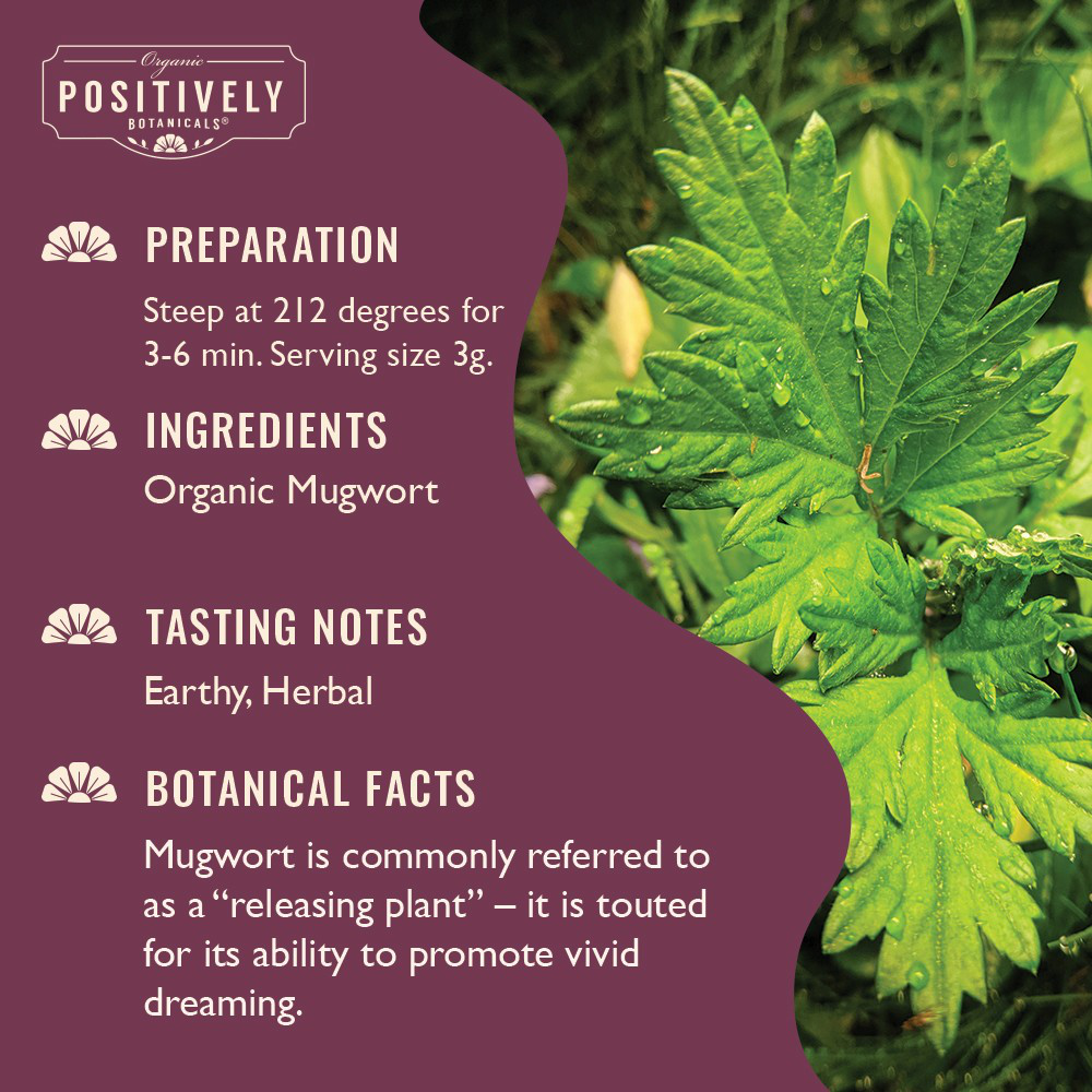 Organic Mugwort - Loose Leaf Botanical