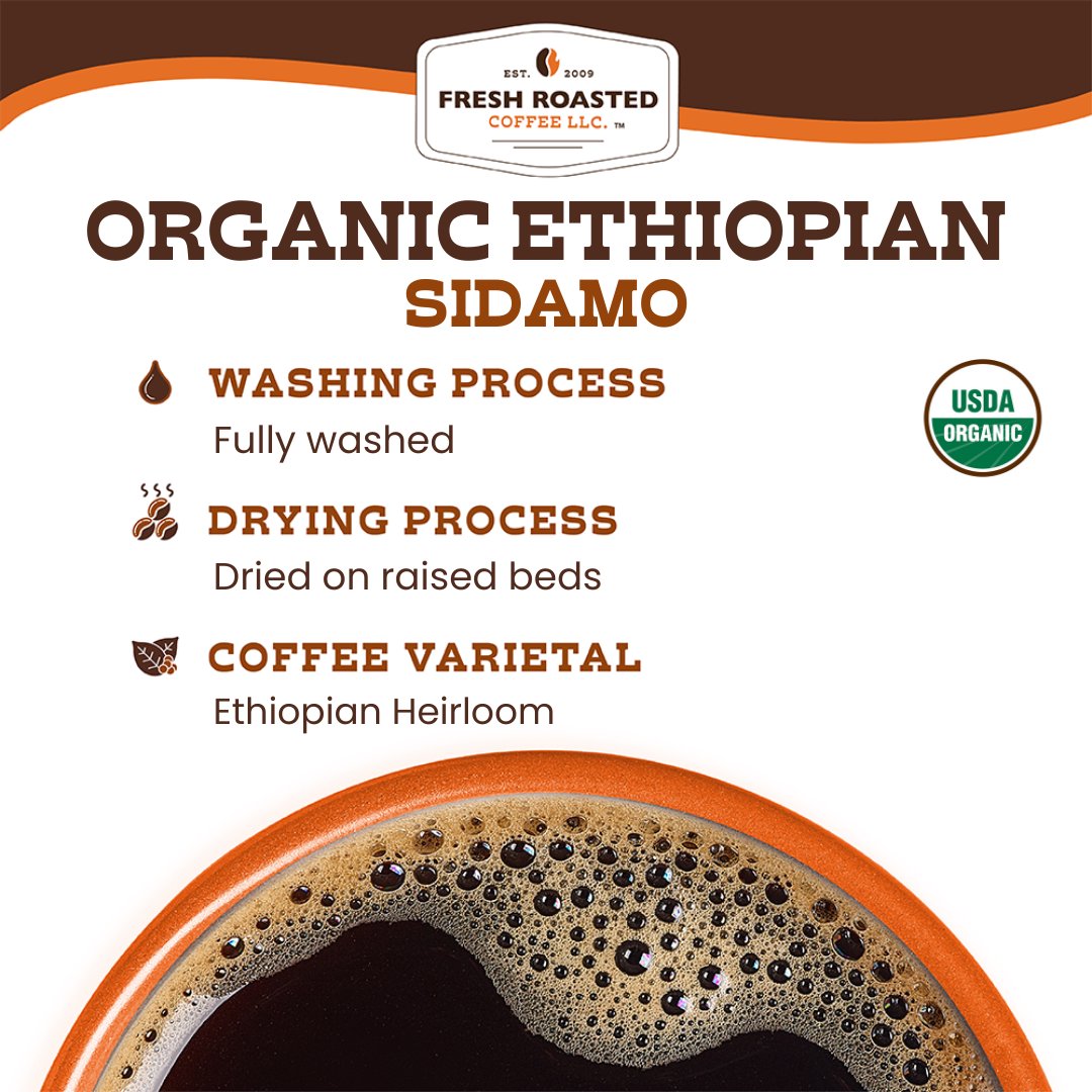 Organic Ethiopian Sidamo - Classic Coffee Pods