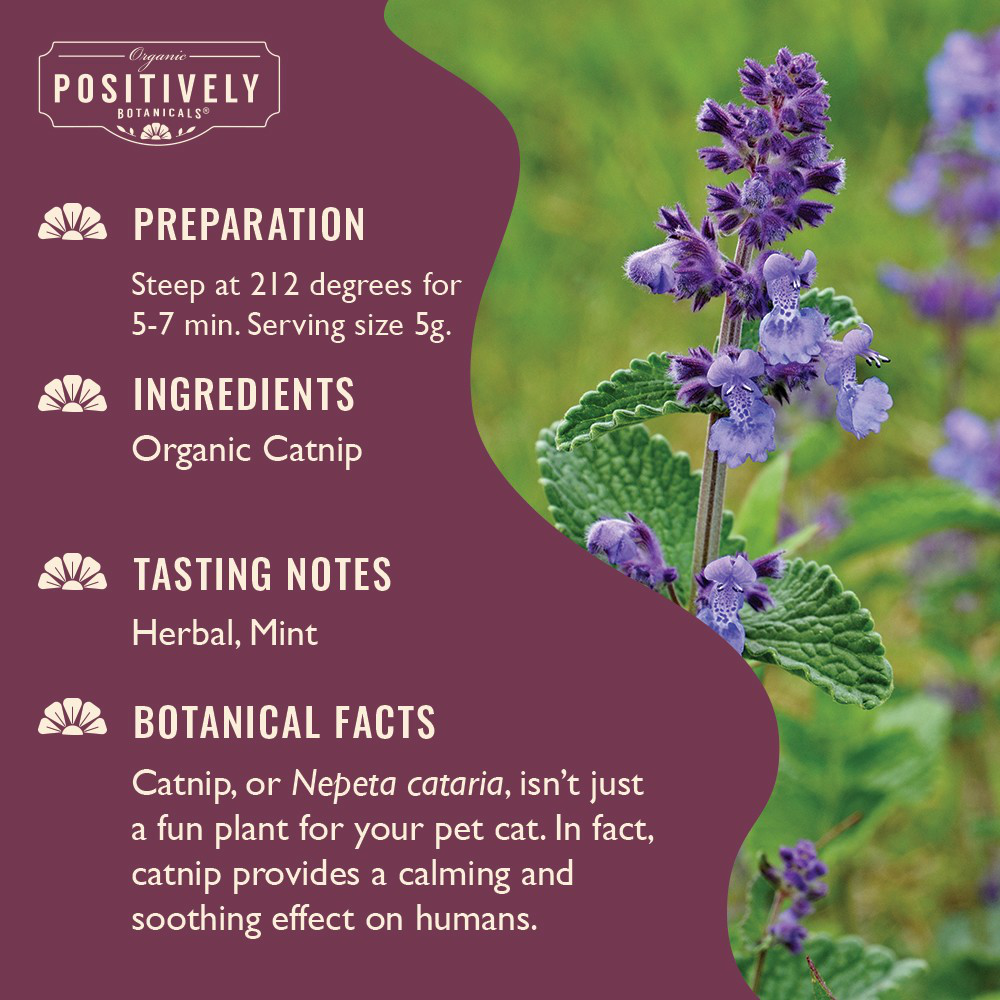 Organic Catnip - Loose Leaf Botanical