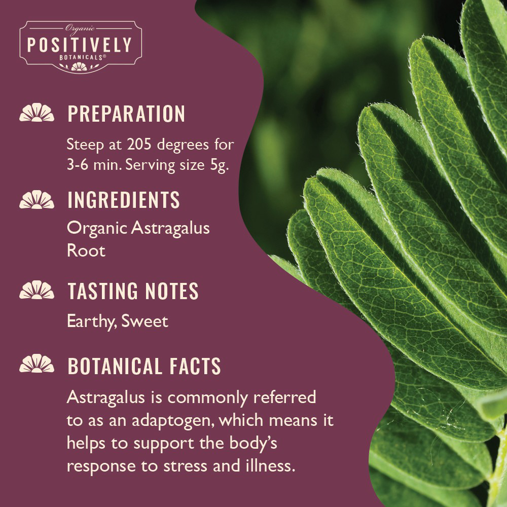 Organic Astragalus Root - Loose Leaf Botanical