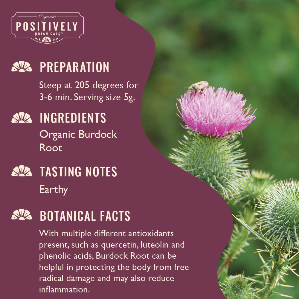 Organic Burdock Root - Loose Leaf Botanical