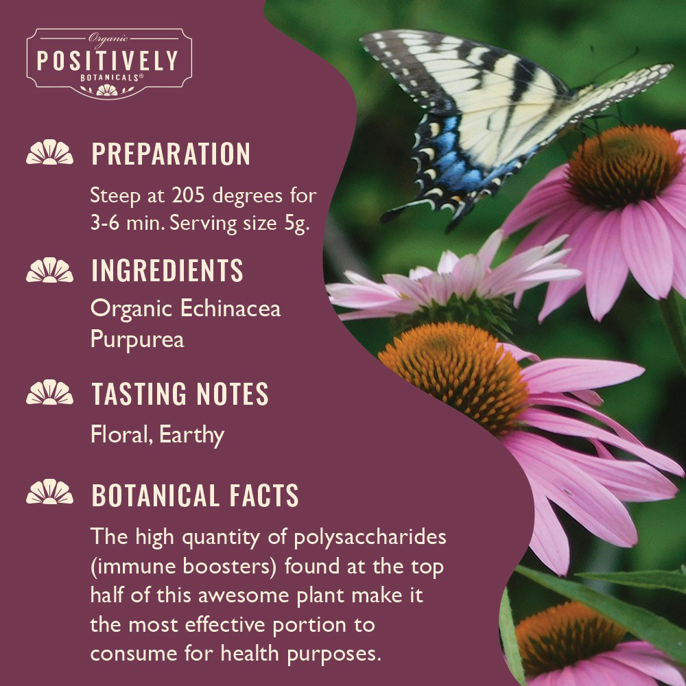 Organic Echinacea Purpurea - Loose Leaf Botanical