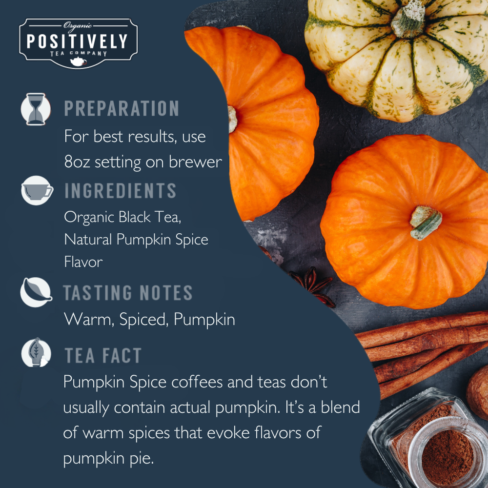 Organic Pumpkin Spice - Classic Tea Pods