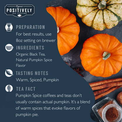 Organic Pumpkin Spice - Classic Tea Pods