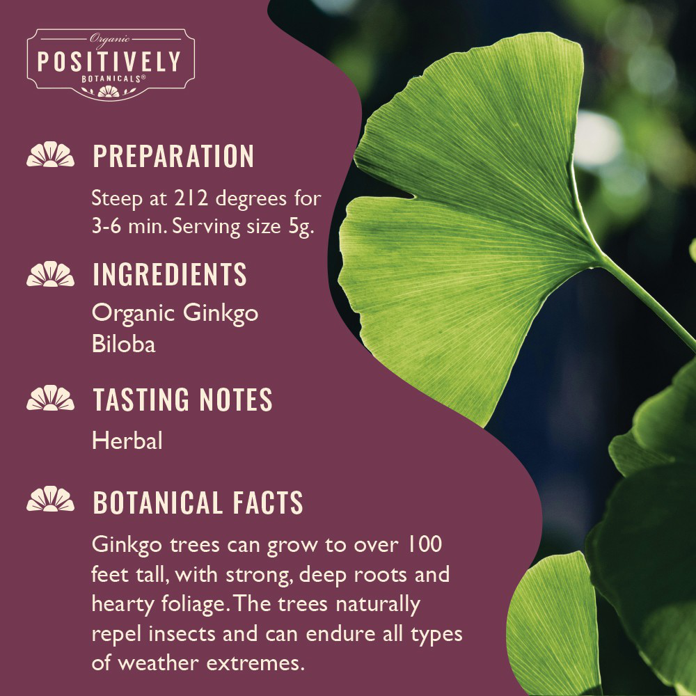 Organic Ginkgo Biloba - Loose Leaf Botanical