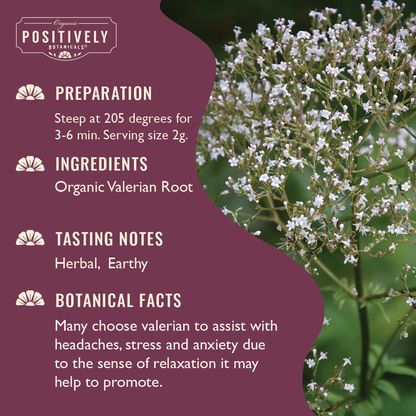 Organic Valerian Root - Loose Leaf Botanical
