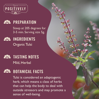 Organic Tulsi - Loose Leaf Botanical