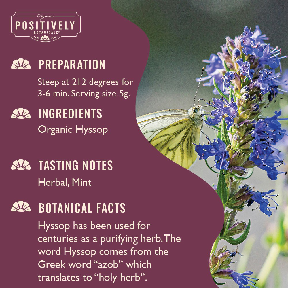 Organic Hyssop - Loose Leaf Botanical