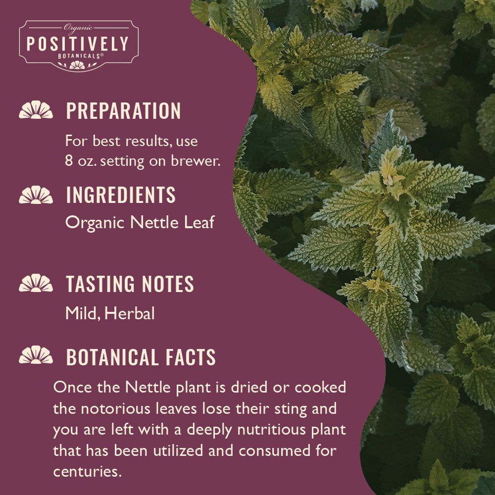 Organic Nettle Leaf - Botanical Tea Pods