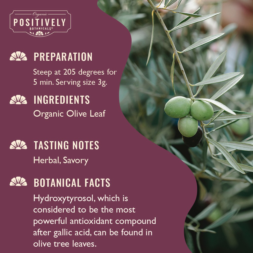 Organic Olive Leaf - Loose Leaf Botanical