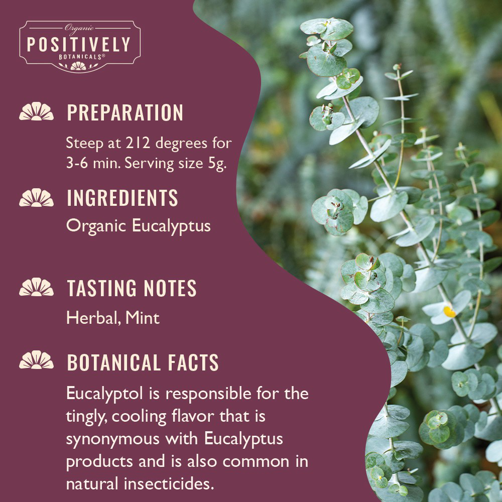 Organic Eucalyptus - Loose Leaf Botanical