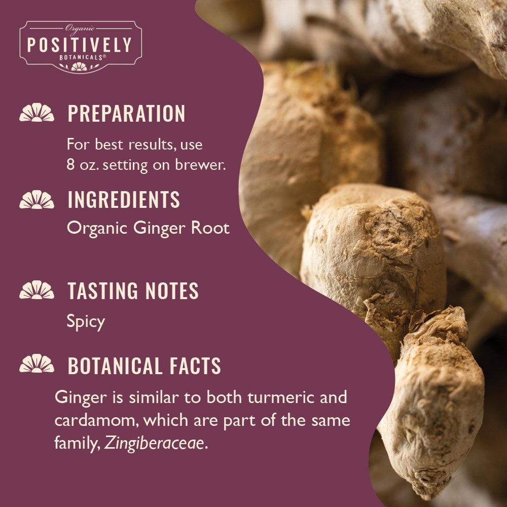 Organic Ginger Root - Botanical Tea Pods
