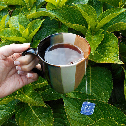 Organic Assam - Tea Bags