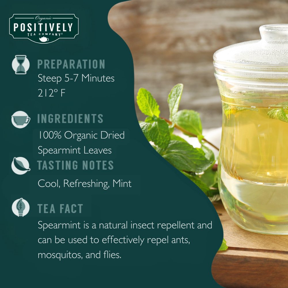Organic Spearmint Leaf Herbal - Loose Leaf Tisane